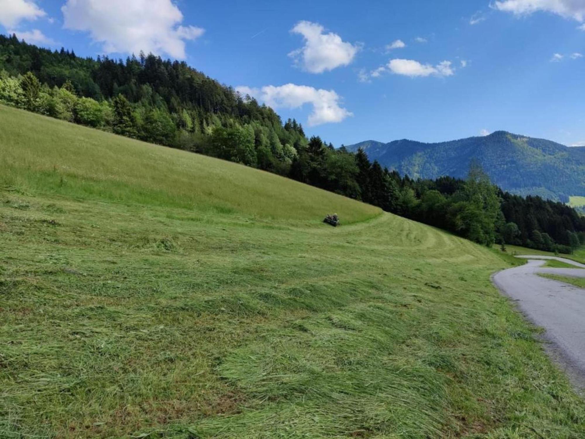 Scenic Apartment In Krispl Salzburg With Swimming Pool *