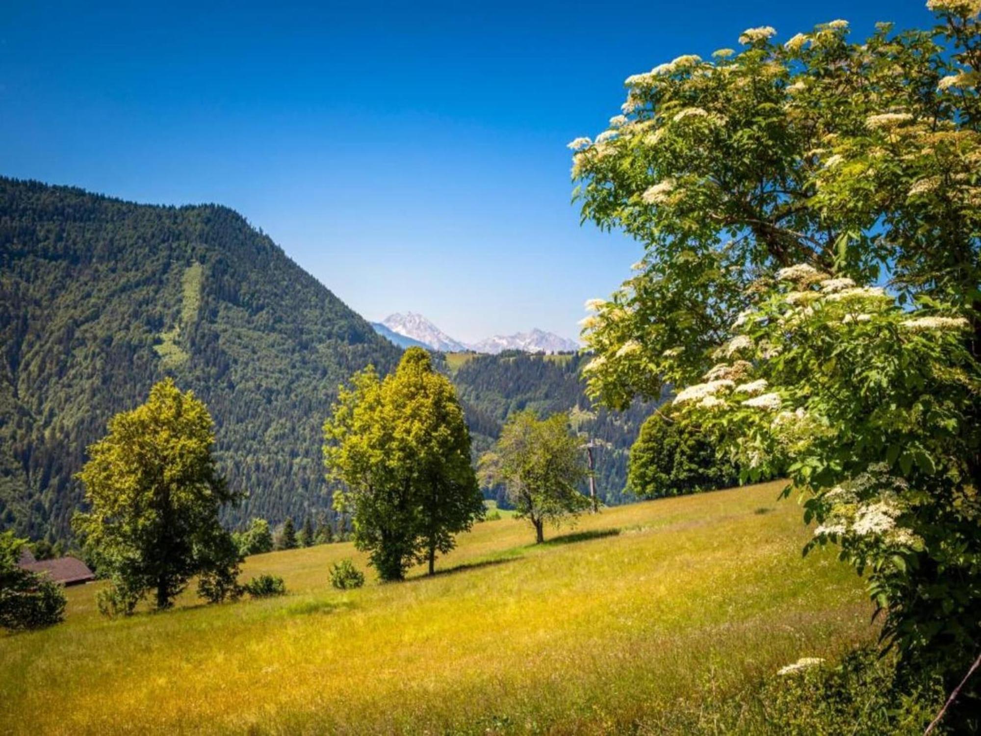 Scenic In Salzburg With Swimming Pool * Krispl