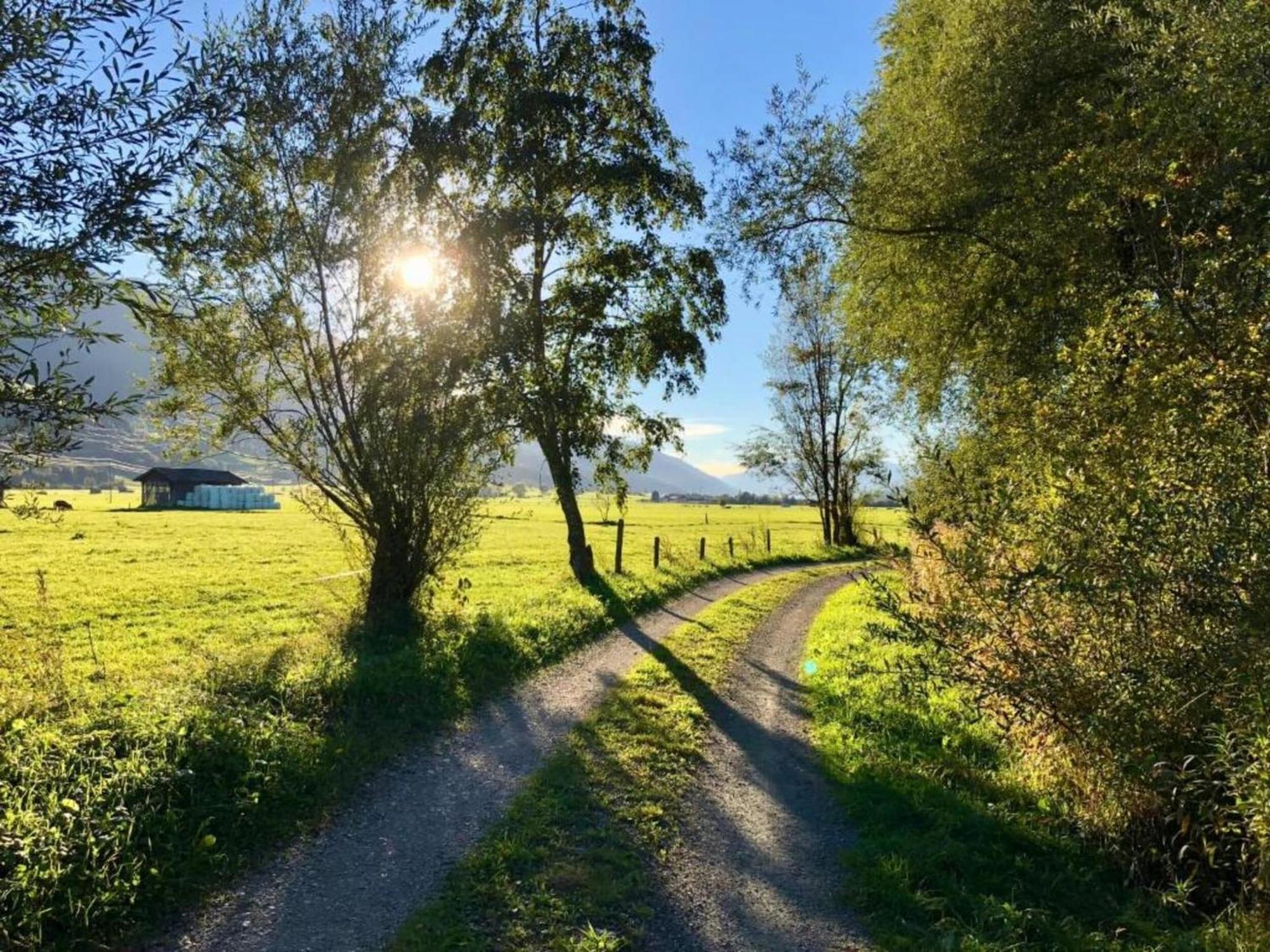 Scenic In Salzburg With Swimming Pool Apartament Krispl